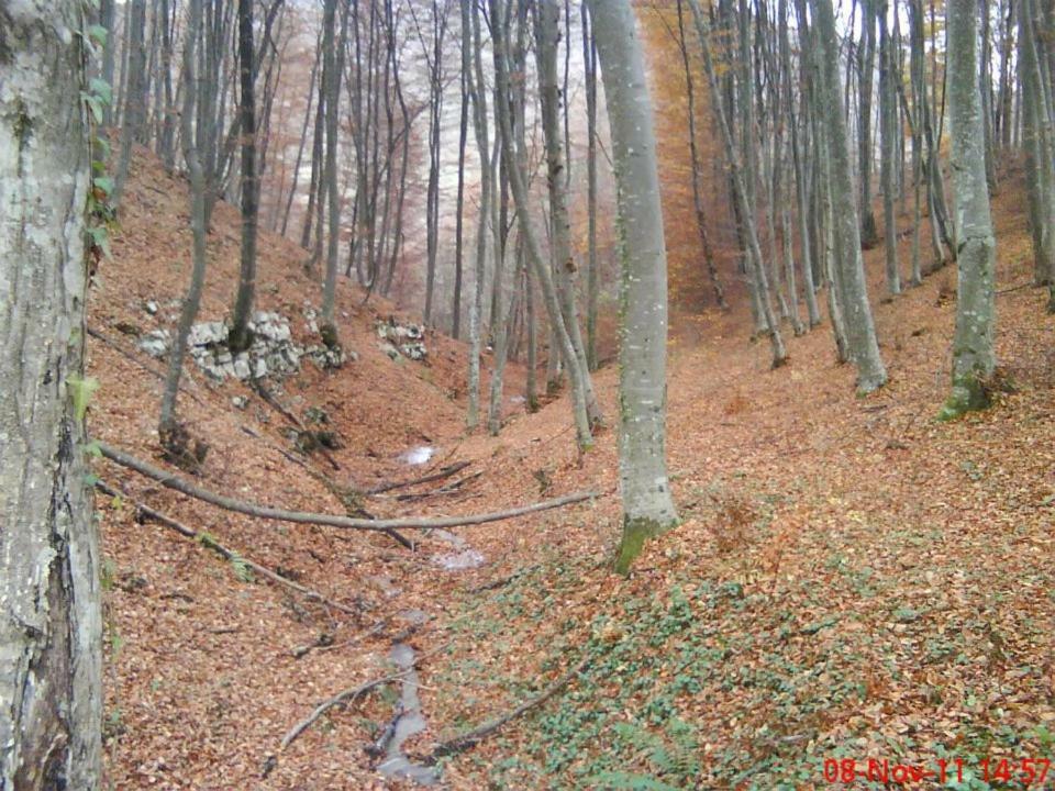 ホテル Etno Kuce Miljevic Sipovo エクステリア 写真
